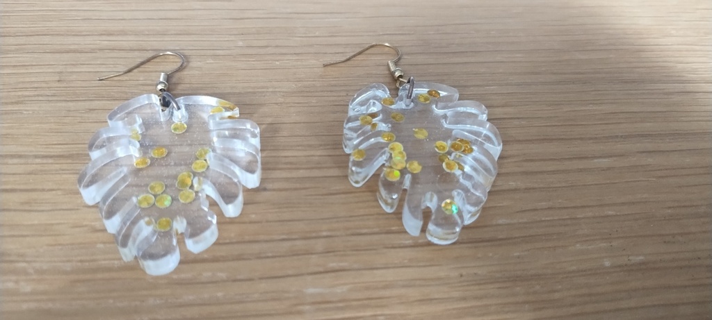 Boucle d'oreille 